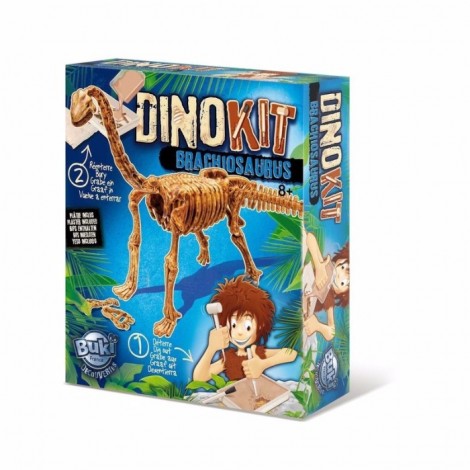 Imagine 1Paleontologie - Dino Kit - Brachiosaurus