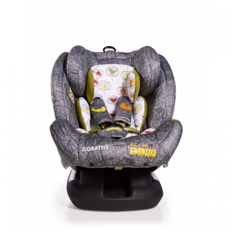 Imagine 5Scaun Auto Cu Isofix All In All GR 0,1,2,3, Dawn Chorus
