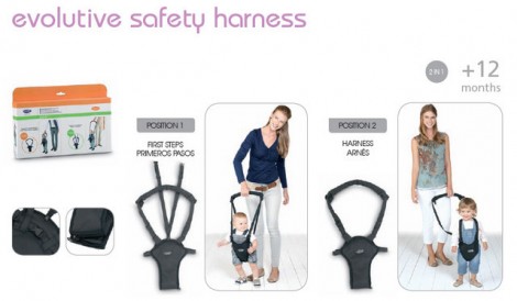 Imagine 5Ham de siguranta copii 2 in 1