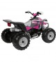 Imagine 5ATV Polaris Outlaw Pink Power