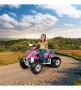 Imagine 8ATV Polaris Outlaw Pink Power