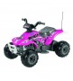 Imagine 2Corral Bearcat Roz