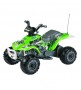Imagine 5ATV Corral Bearcat Green