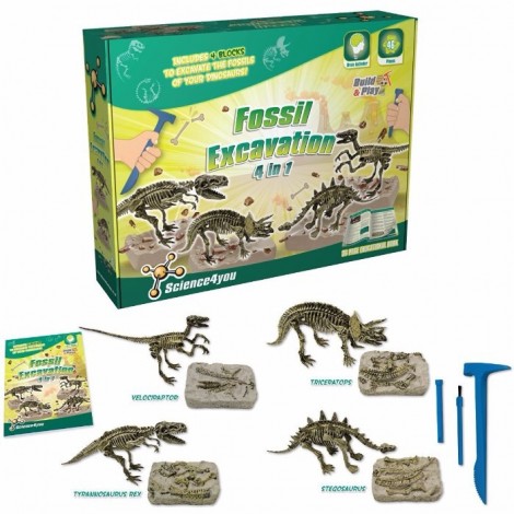 Imagine 1Set paleontologie - 4 in 1