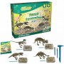 Imagine 1Set paleontologie - 4 in 1