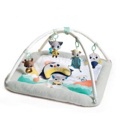 Imagine 1Centru De Joaca Din Plus Gymini Polar Wonders
